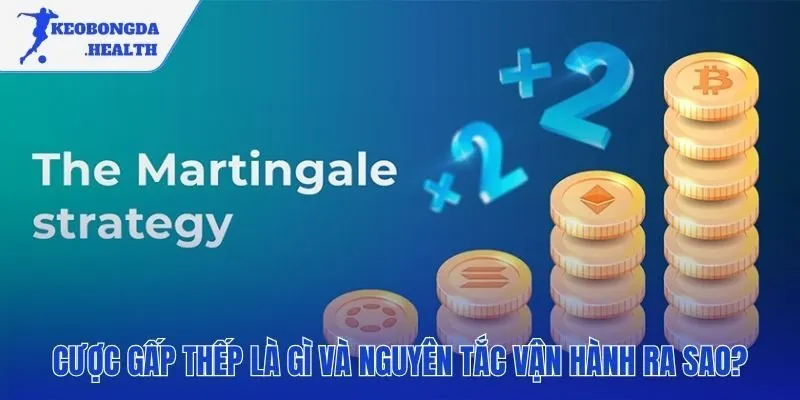 Hệ thống cược gấp thếp vận hành theo nguyên tắc nhân đôi