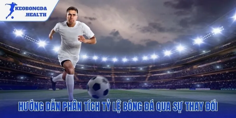 Cách xem biến động kèo giải mã thông tin ẩn sau mỗi con số